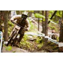 Aaron Gwin - 2011 Dominance