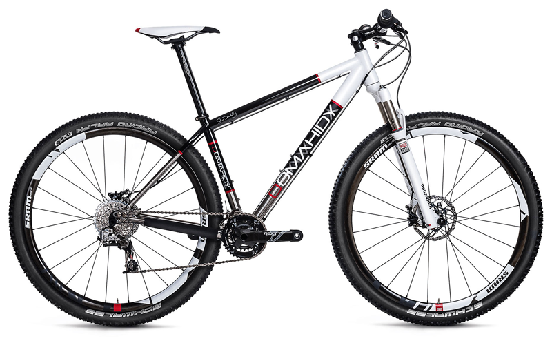 titanium dhhamidy 29er