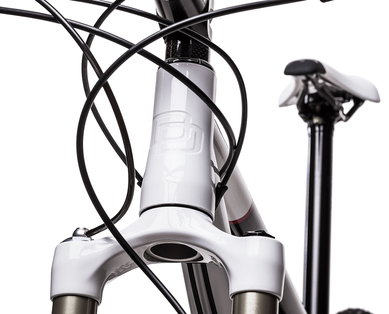 head tube badge attention to detail