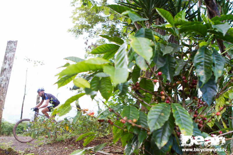 scenery is spectacular in costa rica