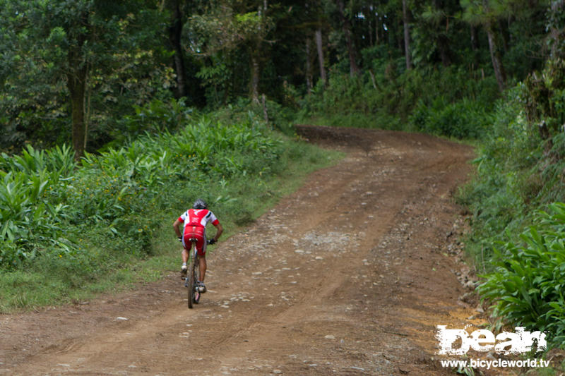 Lone rider on a mission