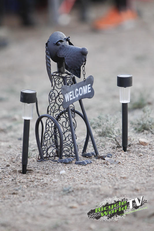 welcome soloists - back into town