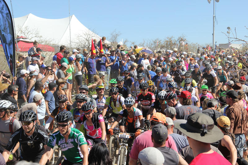 starting line mayhem