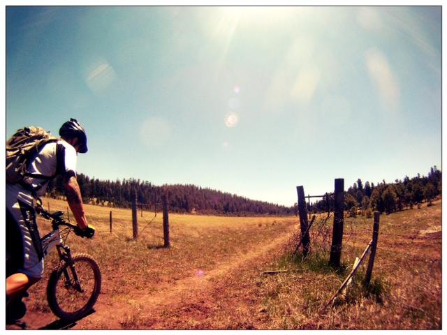 dennis and his pivot in the open space