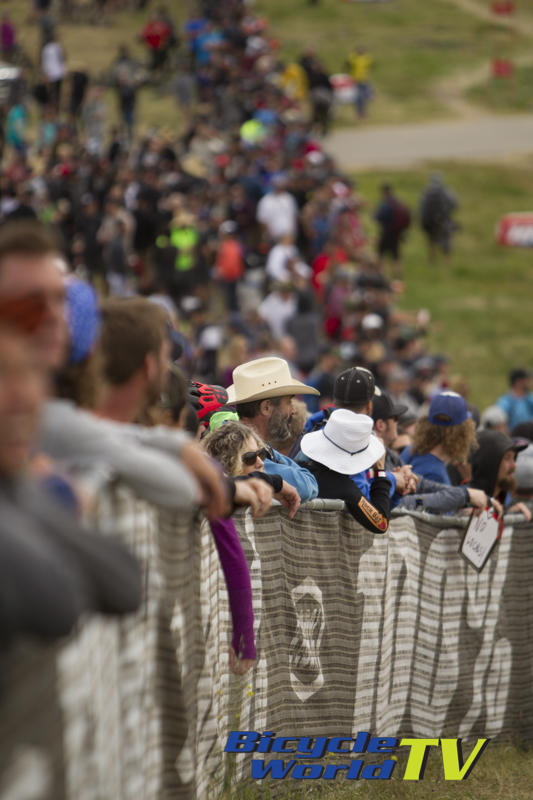 sea otter crowds